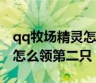 qq牧場(chǎng)精靈怎么領(lǐng)第二只寵物（qq牧場(chǎng)精靈怎么領(lǐng)第二只）
