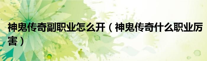 神鬼傳奇副職業(yè)怎么開（神鬼傳奇什么職業(yè)厲害）