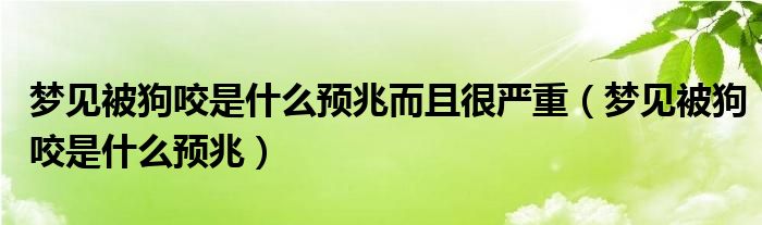 夢(mèng)見被狗咬是什么預(yù)兆而且很嚴(yán)重（夢(mèng)見被狗咬是什么預(yù)兆）