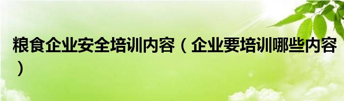 糧食企業(yè)安全培訓(xùn)內(nèi)容（企業(yè)要培訓(xùn)哪些內(nèi)容）