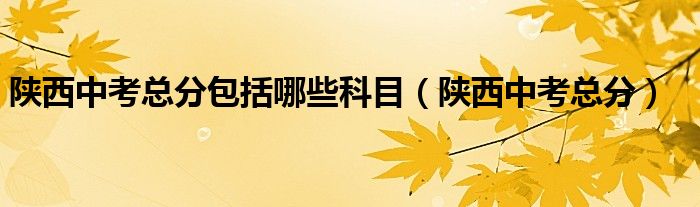 陜西中考總分包括哪些科目（陜西中考總分）