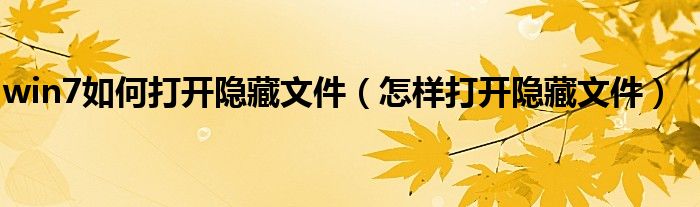 win7如何打開隱藏文件（怎樣打開隱藏文件）