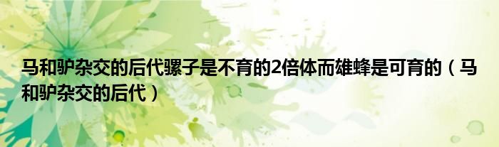 馬和驢雜交的后代騾子是不育的2倍體而雄蜂是可育的（馬和驢雜交的后代）