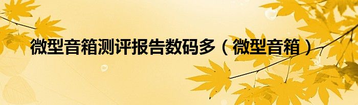 微型音箱測(cè)評(píng)報(bào)告數(shù)碼多（微型音箱）