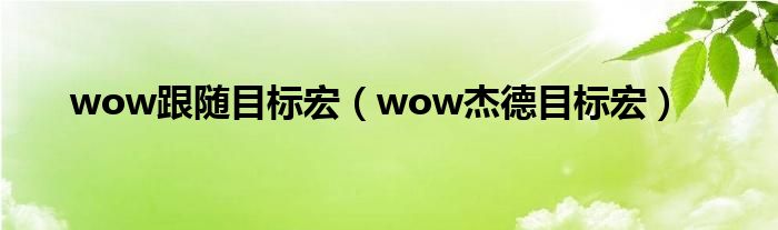 wow跟隨目標(biāo)宏（wow杰德目標(biāo)宏）