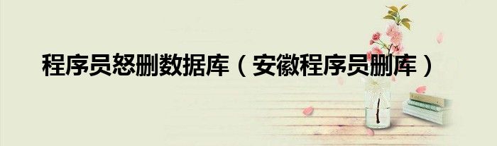 程序員怒刪數(shù)據(jù)庫（安徽程序員刪庫）