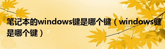 筆記本的windows鍵是哪個(gè)鍵（windows健是哪個(gè)鍵）
