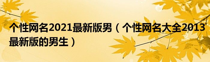 個性網(wǎng)名2021最新版男（個性網(wǎng)名大全2013最新版的男生）