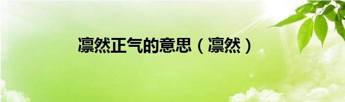 凜然正氣的意思（凜然）