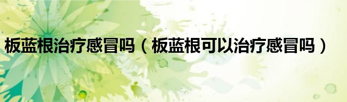 板藍(lán)根治療感冒嗎（板藍(lán)根可以治療感冒嗎）