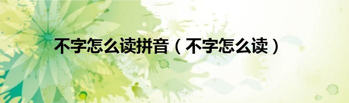 不字怎么讀拼音（不字怎么讀）