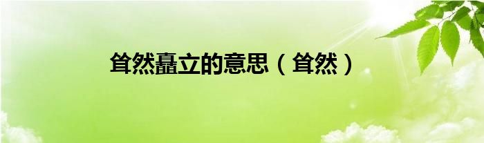 聳然矗立的意思（聳然）