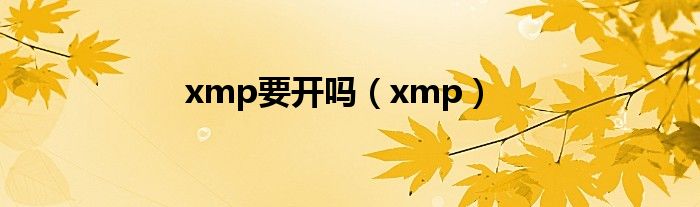 xmp要開嗎（xmp）