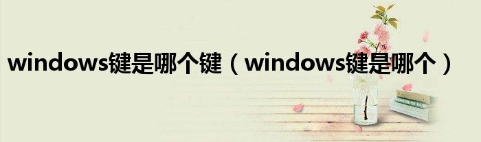 windows鍵是哪個(gè)鍵（windows鍵是哪個(gè)）