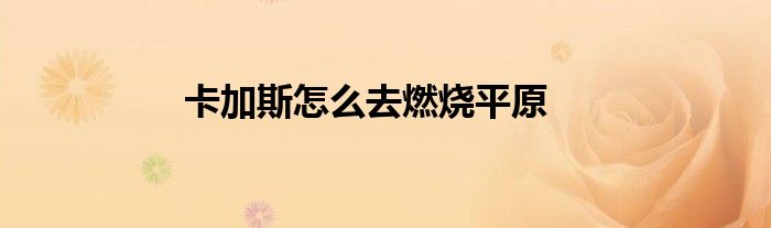 卡加斯怎么去燃燒平原