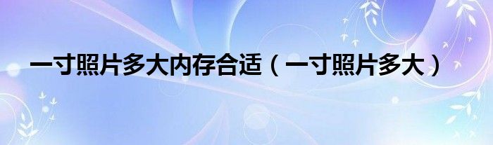 一寸照片多大內(nèi)存合適（一寸照片多大）