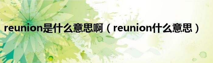 reunion是什么意思?。╮eunion什么意思）