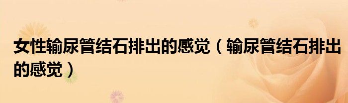 女性輸尿管結(jié)石排出的感覺（輸尿管結(jié)石排出的感覺）
