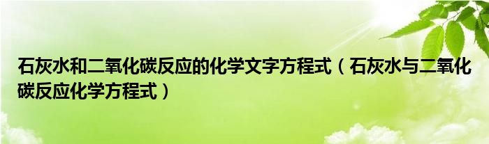 石灰水和二氧化碳反應的化學文字方程式（石灰水與二氧化碳反應化學方程式）