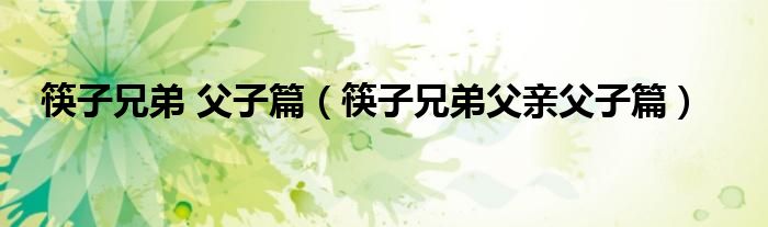 筷子兄弟 父子篇（筷子兄弟父親父子篇）