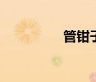 管鉗子怎么用（管鉗子）