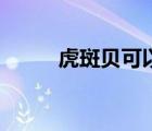 虎斑貝可以帶上飛機(jī)嗎（虎斑貝）