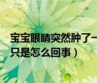 寶寶眼睛突然腫了一只是怎么回事兒（寶寶眼睛突然腫了一只是怎么回事）
