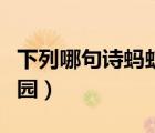 下列哪句詩螞蟻莊園脫發(fā)（下列哪句詩螞蟻莊園）