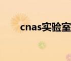 cnas實(shí)驗(yàn)室基礎(chǔ)知識(shí)（cnas實(shí)驗(yàn)室）