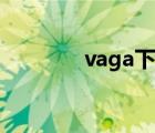 vaga下載不了（vaga下載）
