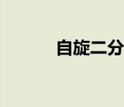 自旋二分之一怎么理解（自旋）