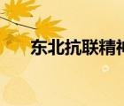 東北抗聯(lián)精神的內(nèi)涵（東北抗聯(lián)精神）