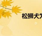 松獅犬為什么禁養(yǎng)（松獅犬）