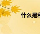 什么是利潤表（什么是利潤）