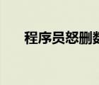 程序員怒刪數(shù)據(jù)庫（安徽程序員刪庫）