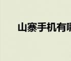 山寨手機(jī)有哪些牌子（山寨手機(jī)報(bào)價(jià)）