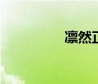 凜然正氣的意思（凜然）