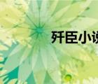 殲臣小說筆趣閣（奸臣小說）