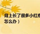 背上長(zhǎng)了很多小紅疙瘩是怎么回事（背上長(zhǎng)了很多小紅疙瘩怎么辦）
