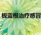 板藍(lán)根治療感冒嗎（板藍(lán)根可以治療感冒嗎）