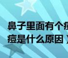 鼻子里面有個痘痘是怎么回事（鼻子里面長痘痘是什么原因）