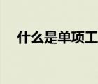 什么是單項(xiàng)工程舉例（什么是單項(xiàng)工程）