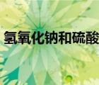 氫氧化鈉和硫酸銅溶液（氫氧化鈉和硫酸銅）