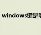 windows鍵是哪個鍵（windows鍵是哪個）