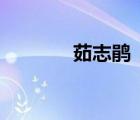 茹志鵑《百合花》（茹志娟）