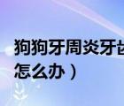 狗狗牙周炎牙齒松動怎么辦（牙周炎牙齒松動怎么辦）