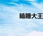瞌睡大王是海獅嗎（瞌睡大王）