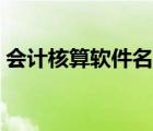 會(huì)計(jì)核算軟件名稱怎么填（軟件名稱及用途）