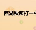 西湖秋庾打一中藥名（西湖秋萸打一中藥）