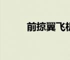 前掠翼飛機(jī)怎么折（前掠翼飛機(jī)）